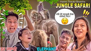 WERE GOING TO JUNGLE SAFARI 🥰  OMG 😳 कति ठूलो हात्ती  Ping Khelda Jhandai Yesto Vho  NyPoLee [upl. by Ehrenberg]