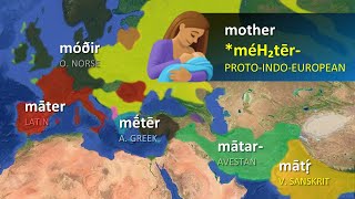 IndoEuropean Languages  Word Comparisons [upl. by Auqinihs]