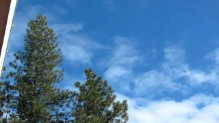 The sound of Sandhill Cranes flying over the property [upl. by Kaenel]