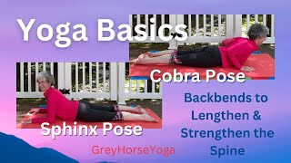 Yoga Basics—Sphinx amp Cobra Pose [upl. by Elocn]