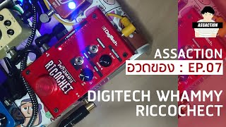 assaction อวดของ EP 07 part effect  Digitech Whammy Ricochet [upl. by Eyeleen]