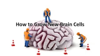 How to Grow New Brain Cells [upl. by Bucher]