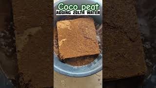 coco peat from amazon coco cocopeat planting khaad plantation trees [upl. by France]