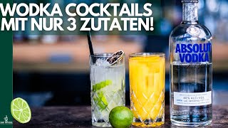 Vodka Cocktails mit nur 3 Zutaten 😱 SchnellEinfach [upl. by Hardie]