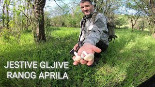 JESTIVE GLJIVE RANOG APRILA [upl. by Laurianne319]