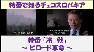 特番で知るチェコスロバキア 特番「冷戦」 ～ ビロード革命 ～ 【日本語吹替】 [upl. by Ahsea896]