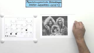 Die Anwendung des HardyWeinbergGesetzes  Biologie  Genetik [upl. by Droflim]