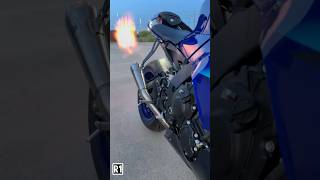 M1000RR vs R1 vs RSV4  Which One Gives You More Adrenaline with ARROW PRORACE Exhaust Sound❓2024 [upl. by Delanie339]