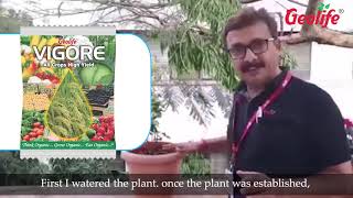 Ornamental Plant Vigore Hindi [upl. by Rebhun707]