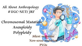 Chromosomal mutation  Polyploidy  PYQS ugcnet allaboutanthropology [upl. by Yllas299]