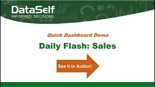 DataSelf Dashboard Demo Daily Flash  Sales [upl. by Burnley]