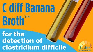 C diff Banana Broth™ for the detection of Clostridioides difficile [upl. by Enelez241]