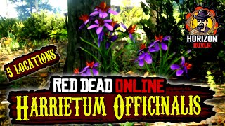 RDR2 Harrietum Officinalis 5 Locations and Vitalism Tree location in Red Dead Online  RDR2 Online [upl. by Aoniak]