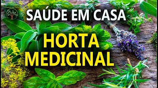 Plantas Medicinais para Plantar em Casa Saúde e Alegria com Sandra Regina [upl. by Fedirko]