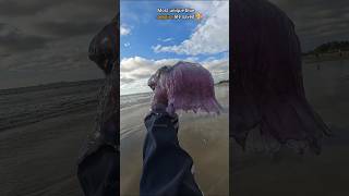 Rescue Mission Saved rare venomous Blue Jellyfish 🥺 [upl. by Ahsiekan]