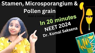 Stamen microsporangium and pollen grains class 12th by Dr Komal Saksena in hindi [upl. by Eirameinna175]