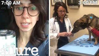 A Veterinarians Entire Routine from Waking Up to Treating Pets  Allure [upl. by Lzeil]