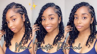 Juicy Two Strand Mini Twists on Natural Hair  Resembles Short Passion Twists  DIY Tutorial [upl. by Marina366]