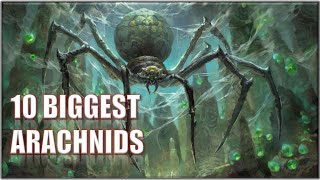 10 Biggest Movies Arachnids [upl. by Jeni]