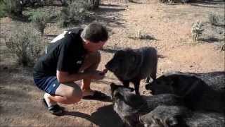 John and Pamela Russells family of Javelinas [upl. by Welch]