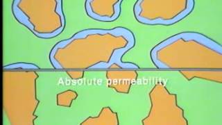 Reservoir  Rock Permeability [upl. by Eissirc]