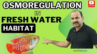 Osmoregulation in Freshwater Habitat  Osmoregulation in Freshwater Fishes  by Dr Bhojoo Mal [upl. by Areval]