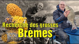 🎥🎞PÊCHE de GROSSES BRÈMES au FEEDER en LAC🤟💪 [upl. by Ettenom]