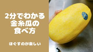 【2分でわかる】金糸瓜（そうめんかぼちゃ）の食べ方 spaghetti squash [upl. by Tye]