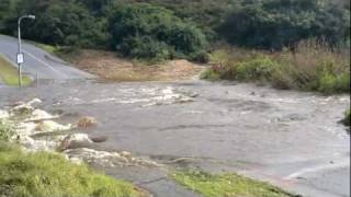 3rd Avenue Dip flooding Port Elizabeth South Africa [upl. by Mallory]