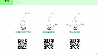 Lignin Aufbau und Biosynthese [upl. by Oribella108]