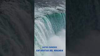 Cataratas del Niagara  Datos curiosos sobre estas majestuosas cataratas shorts short [upl. by Nek]