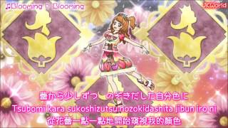 【HD】Aikatsu  Blooming Blooming lyrics【中字】 [upl. by Amekahs823]