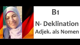 B1 Lektion 1 Grammatik  Adjektive als Nomen und NDeklination [upl. by Claudia]