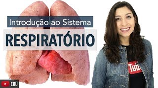 Sistema Respiratório 16 Introdução  Anatomia e etc [upl. by Origra]