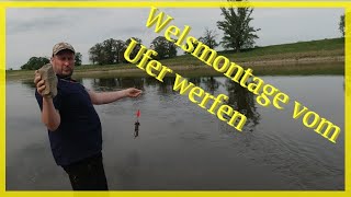 Mission Elbe Waller  2022 Welsangeln vom Ufer am Fluss [upl. by Liu]