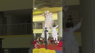 Fall and Rise  Lion dance [upl. by Assyl]