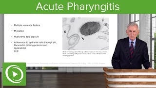 Acute Pharyngitis Definition amp Epidemiology – Infectious Diseases  Lecturio [upl. by Benis]