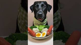 Breakfast Time Cute Dog 🥗🥖🥚🥦🍪🍝🍽️shorts shortsfeed cute labrador dog viralvideo ytshorts 😍😲 [upl. by Eemyaj]