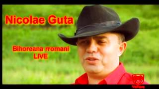 Nicolae Guta  Bihoreana rromani LIVE [upl. by Guinn]