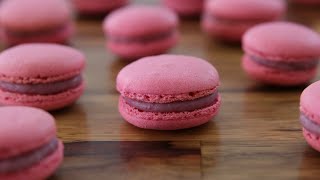 How to Make Macarons  French Macarons Recipe [upl. by Anasxor]