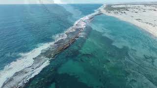 KALBARRI LUCKY BAY MEELUP BEACH [upl. by Ruthi]