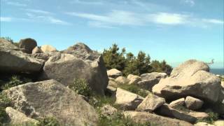 Der Harz  ein Märchengebirge [upl. by Gabriello]