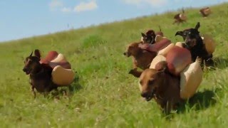 HEINZ Ketchup 2016 Hot Dog Commercial the Wiener Stampede [upl. by Sivel712]