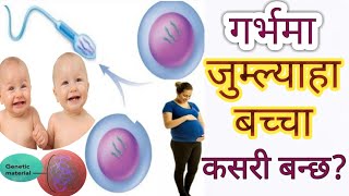 गर्भमा जुम्ल्याहा बच्चा कसरी बन्छ process of twins pregnancy identical conjoined fraternal twins [upl. by Rickey698]