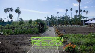 Green the Block Unpaving the Concrete Jungle  Part 1 [upl. by Assillim230]