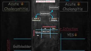 Gallstone terms and what they mean gallstones gallstone gallbladderstones [upl. by Inar406]