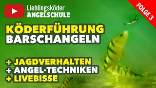 Köderführung zum Angeln auf Barsche mit dem Gummifisch Staffel 1 Folge 3 [upl. by Cristabel]