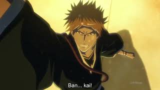 Ichigo vs Byakuya  Bleach Full Fight English Sub [upl. by Lankton115]