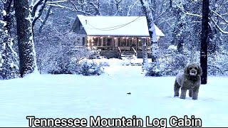 Tennessee Log Cabin For Sale  15 acres  Stone Wall Cellar  Tennessee Real Estate For Sale [upl. by Refinej]