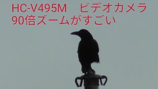 HCV495M フルハイビジョンデジタルビデオカメラで撮ってみた [upl. by Arotahs683]